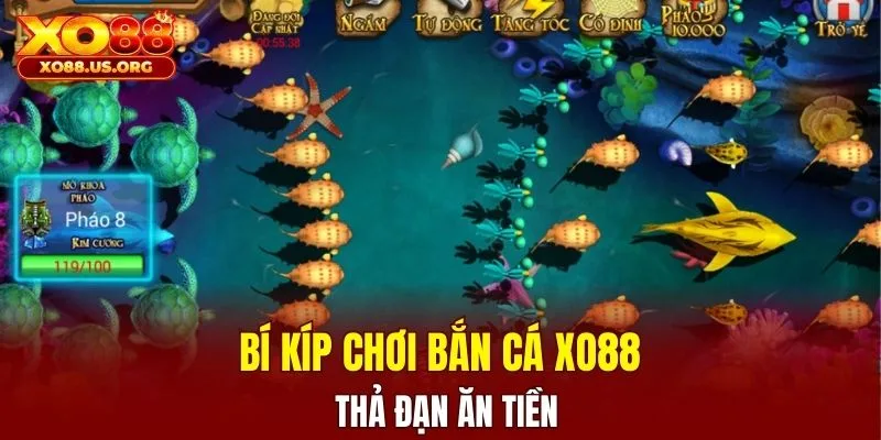 Bí kíp chơi bắn cá XO88 thả đạn ăn tiền