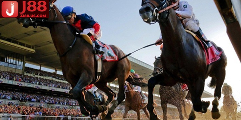 Người chơi đặt cược vào ngựa về nhất, nhì hoặc theo thứ tự