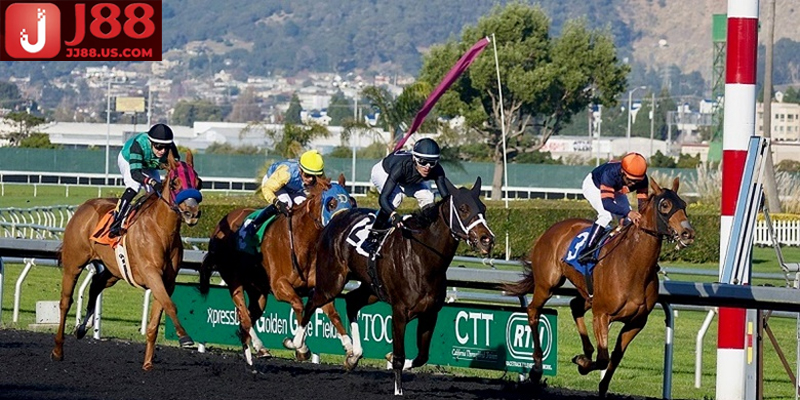 Đua ngựa là trò chơi cá cược dựa trên kết quả cuộc đua thật